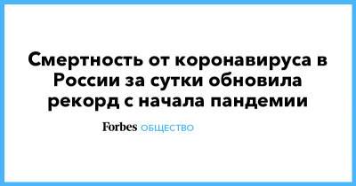 Смертность от коронавируса в России за сутки обновила рекорд с начала пандемии