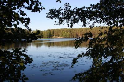 Четыре водоема в Ленинградской области признали пригодными для купания
