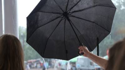 Синоптики спрогнозировали дожди в Петербурге 29 июня