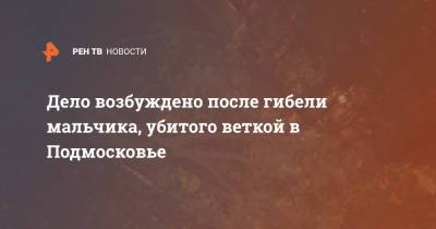 Дело возбуждено после гибели мальчика, убитого веткой в Подмосковье