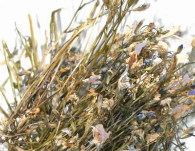 Сушеные травы и свежие огурцы изъяли у граждан из стран Азии в нижегородском аэропорту