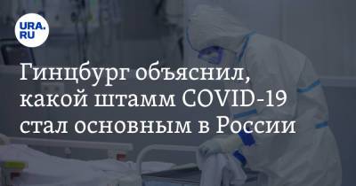 Гинцбург объяснил, какой штамм COVID-19 стал основным в России