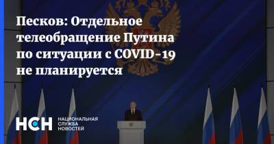 Песков: Отдельное телеобращение Путина по ситуации с COVID-19 не планируется