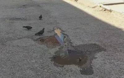 В Башкирии вице-мэр Стерлитамака напоил птиц из дорожной ямы