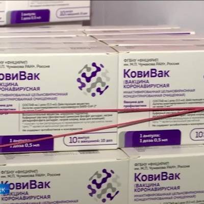 Центр им. Чумакова выпустил в гражданский оборот 1 млн доз вакцины "Ковивак"