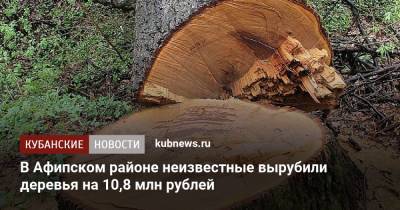 В Краснодарском крае неизвестные вырубили деревья на 10,8 млн рублей
