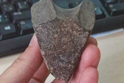 Фрагмент неолитического каменного топора нашли псковские археологи