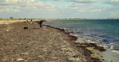 Оккупанты из-за потопов "призакрыли" 83 пляжа в Крыму
