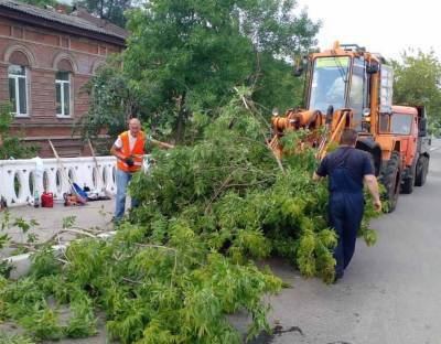 Больше всего деревьев повалило шквалистым ветром в Нижегородском и Советстком районах