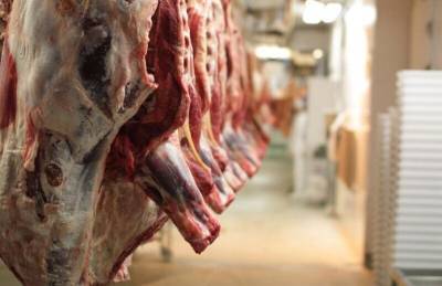 В Украине выросло производство замороженной говядины и телятины почти на 40%