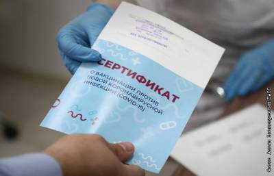 В Думе рассказали, что грозит за использование фальшивых сертификатов о прививке