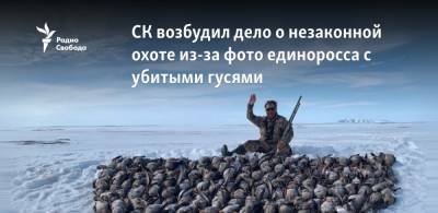 Александр Крамаренко - СК возбудил дело о незаконной охоте из‑за фото единоросса с убитыми гусями - svoboda.org - Магадан - Чукотка