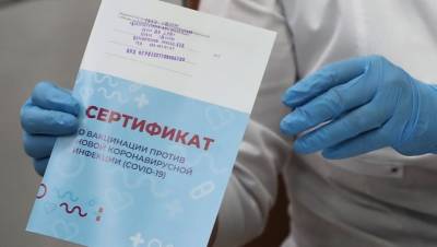 В Госдуме рассказали, чем грозит подлог документов о вакцинации