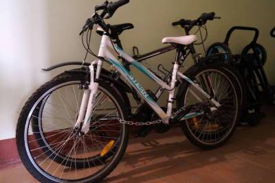 Два жителя Марий Эл лишились оставленных в подъезде велосипедов