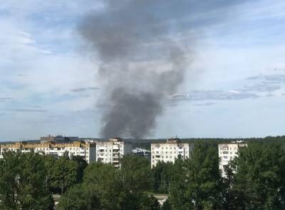 В Выборге возле Ленинградского шоссе заметили столб дыма — видео