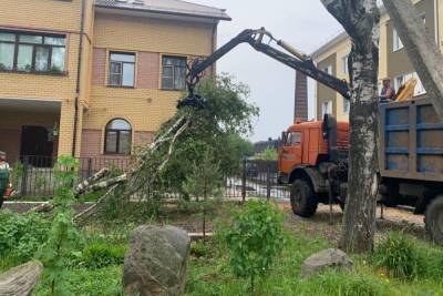 В Рыбинске устраняют последствия урагана