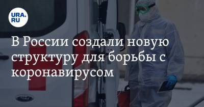 В России создали новую структуру для борьбы с коронавирусом