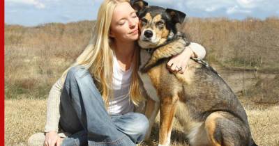 Почему собаки любят обниматься с хозяевами, объяснил ветеринар