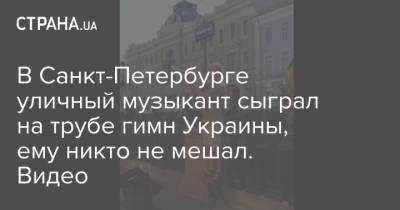 В Санкт-Петербурге уличный музыкант сыграл на трубе гимн Украины, ему никто не мешал. Видео - strana.ua - Россия - Украина - Киев - Санкт-Петербург - Венгрия - Закарпатская обл. - район Ужгородский