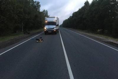 В Путятинском районе Рязанской области грузовик насмерть сбил пешехода