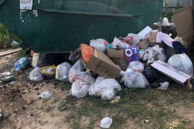 Любимов заявил о массовых жалобах на вывоз мусора в Рязанской области