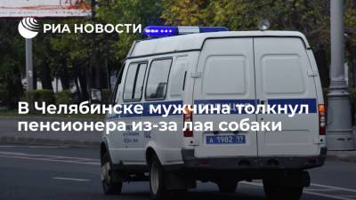 В Челябинске мужчина толкнул пенсионера из-за лая собаки