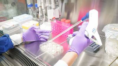 В Чехии выявили первое заражение «лямбда»-штаммом коронавируса