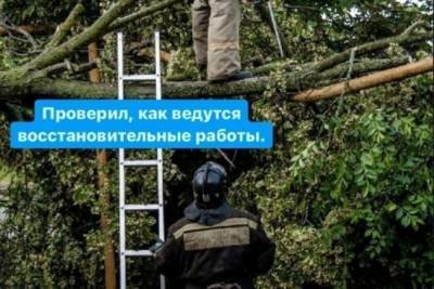 В Курской области город Льгов остался без света из-за урагана