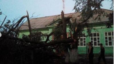 В Саратовской области ураган повредил крыши домов и провода