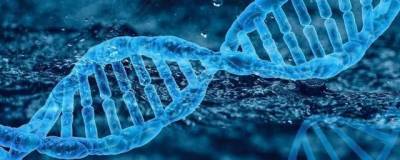 Ученые впервые определили массу хромосомы человека