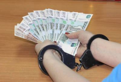 Житель Выборгского района поплатился за «покупку» водительских прав