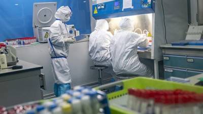 В США поставили под сомнение лабораторную версию происхождения коронавируса