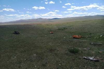 Инцидент с нелегальными скотомогильниками в Бурятии набирает обороты