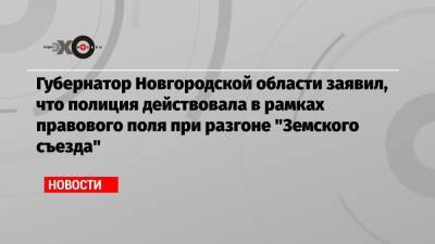 Губернатор Новгородской области заявил, что полиция действовала в рамках правового поля при разгоне «Земского съезда»