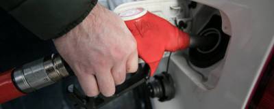 В Минэнерго пообещали не допустить дефицита бензина летом