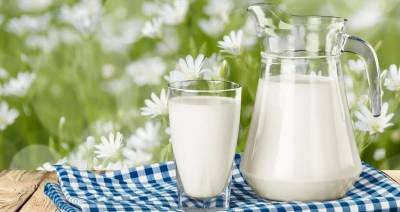 Минагрополитики Украины разрабатывает программу увеличения производства молока