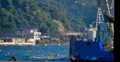 Япония назвала неприемлемым задержание её рыболовного судна в России