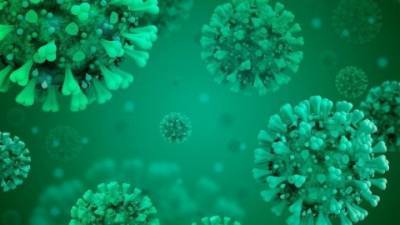 Ученые обнаружили мутацию, которая «научила» коронавирус заражать человека - enovosty.com