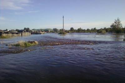 Вода начала спадать в Чернышевском районе после разлива реки Белый Урюм