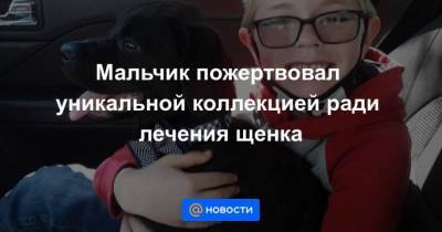 Мальчик пожертвовал уникальной коллекцией ради лечения щенка
