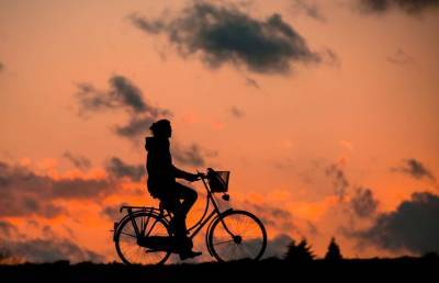 Как выбрать велосипед и правильно на нём ездить, чтобы не навредить здоровью