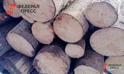 В Челябинске срубят более 300 деревьев под аквапарк