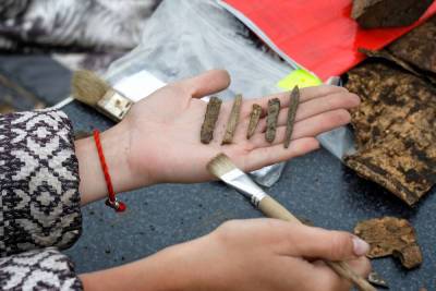Археологи бросили клич о сборе средств на проведение летней школы в Старой Руссе