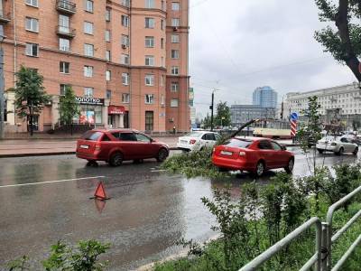 В центре Челябинска крупная ветка дерева упала на проезжавший по дороге автомобиль