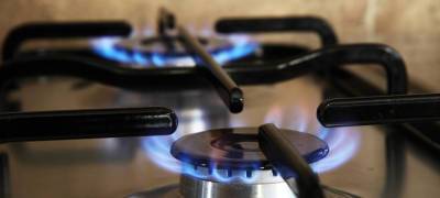 Природный газ бесплатно доведут до участков жителей Карелии