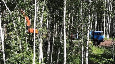 Жители коттеджного поселка на Урале требуют остановить вырубку леса рядом с домами
