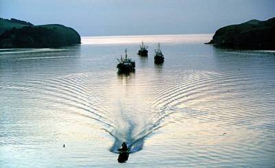 Япония: задержанное Россией японское рыболовное судно немедленно освободить! (Санкэй, Япония)
