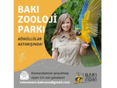 Начался набор волонтеров для работы в Бакинском зоопарке