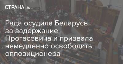 Рада осудила Беларусь за задержание Протасевича и призвала немедленно освободить оппозиционера