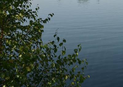 В этом году в Рязанской области не станут открывать пляж на Уржинском озере